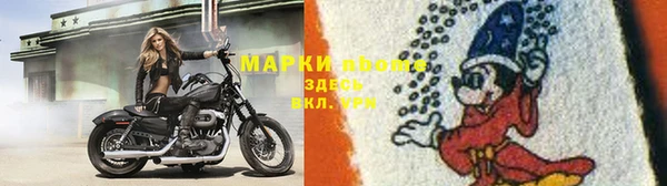 2c-b Бородино