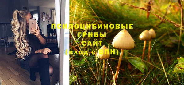2c-b Бородино