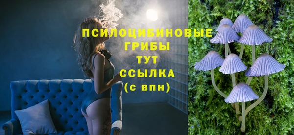 соль ск Верея