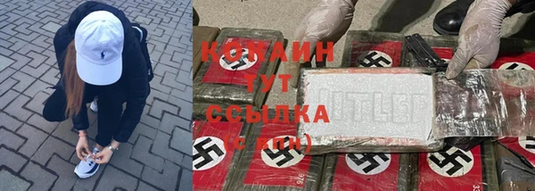 2c-b Бородино