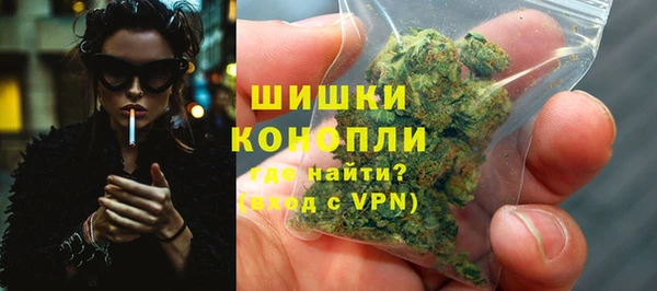 2c-b Бородино