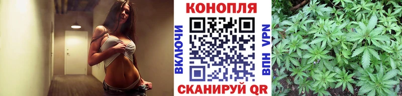 Конопля MAZAR  купить   Кириши 